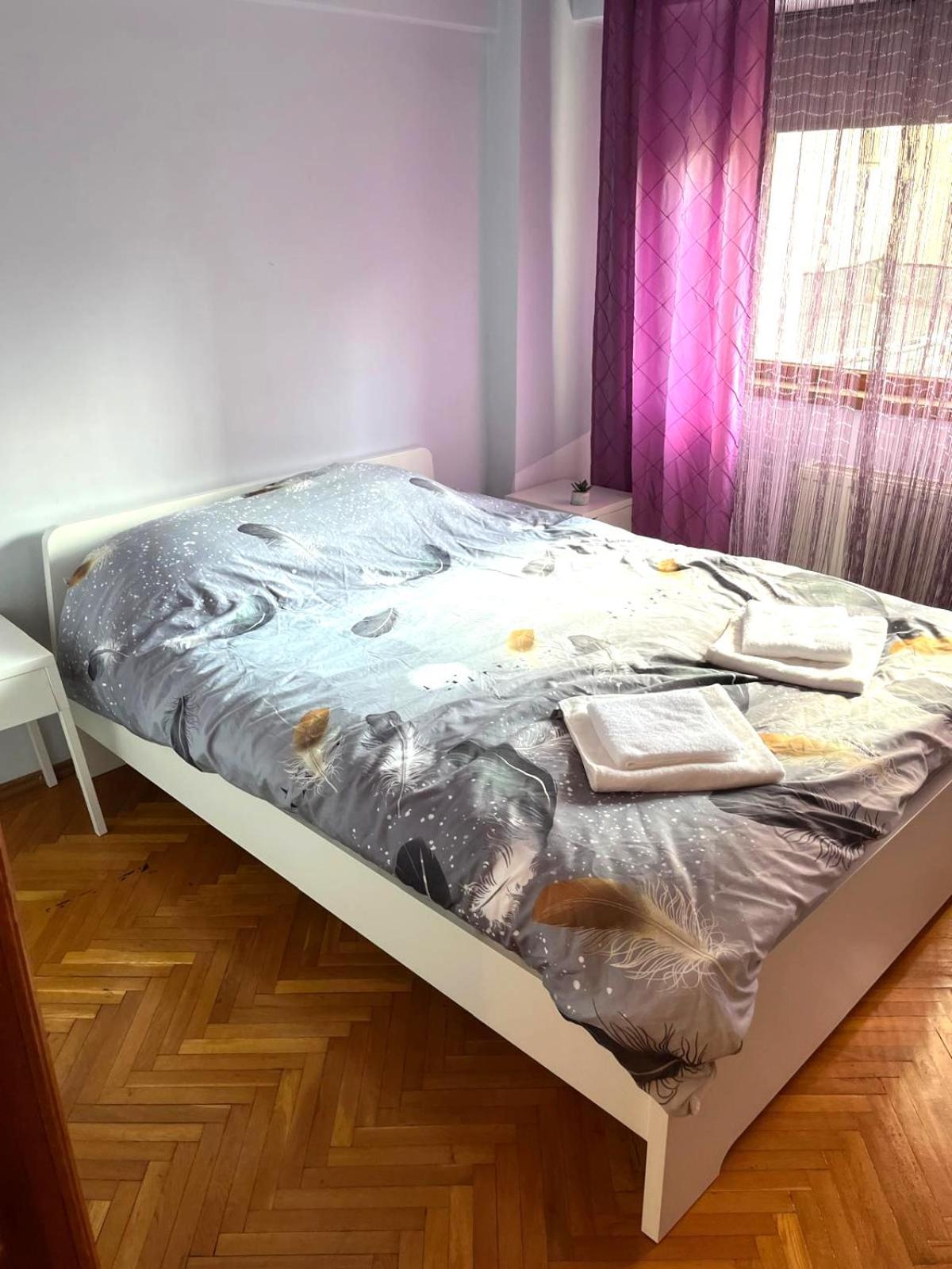 Romana 100 Sqm Deluxe Apartament 布加勒斯特 外观 照片